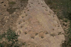 Abbiamo visto le tracce dei dinosauri fare molte cose, ma non tornare mai al punto di partenza. La maggior parte delle impronte proviene dalle stesse zampe, ma si possono vedere alcune possibili eccezioni.