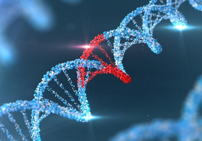 grafica del DNA