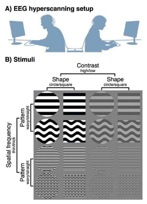 I nostri cervelli sono davvero sincronizzati quando collaboriamo con gli altri