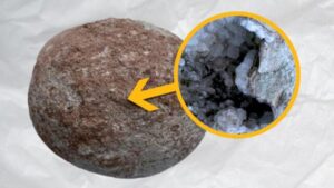 Questo uovo di dinosauro di 70 milioni di anni conteneva una sorprendente cristallo scintillante