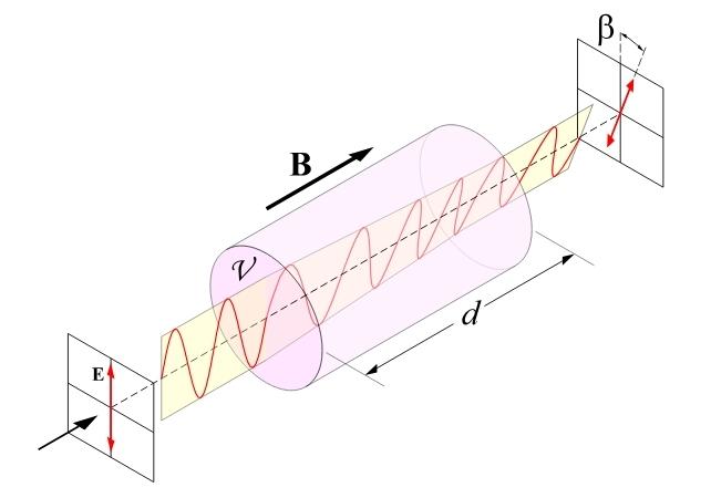 diagramma dell'effetto Faraday