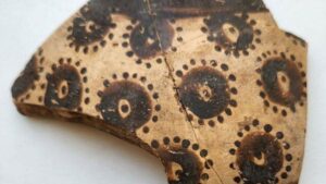 La più antica arte botanica conosciuta rivela un pensiero matematico precoce