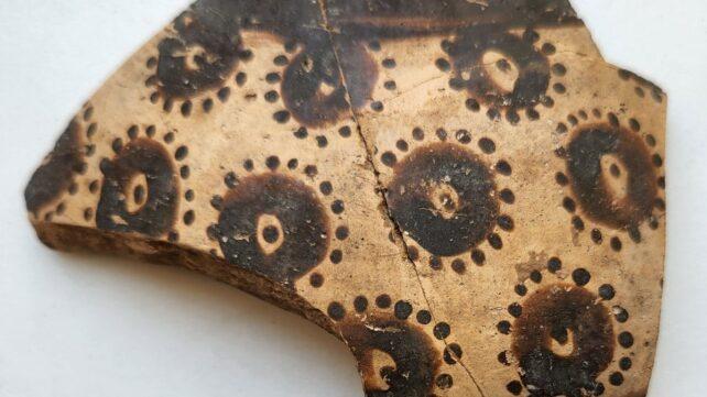 La più antica arte botanica conosciuta rivela un pensiero matematico precoce