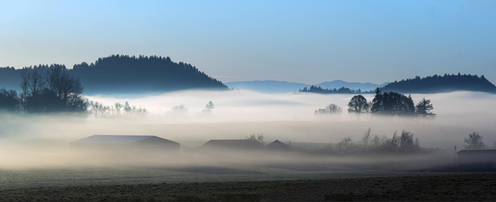 La nebbia di tule del mattino pende su una valle.