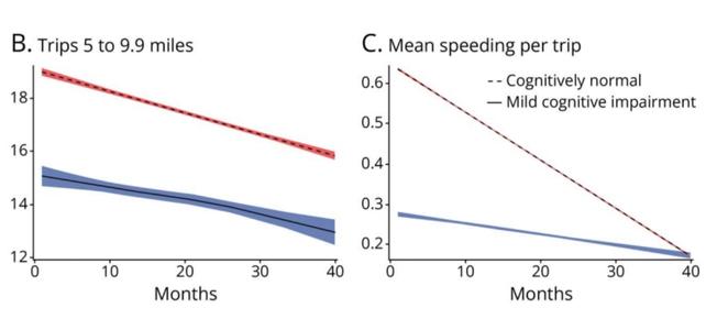 grafici che mostrano un lieve deterioramento cognitivo e guida