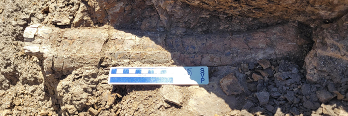 Una costola di Edmontosaurus da Hell Creek mostra che erano presenti per essere mangiati.