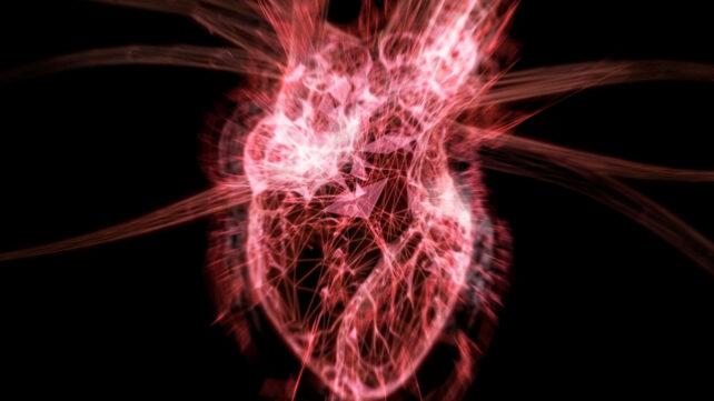 grafica del cuore