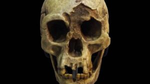 cranio di hobbit su sfondo nero