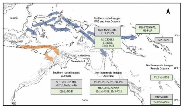I primi australiani sono arrivati 60.000 anni fa tramite due percorsi, suggerisce uno studio genetico