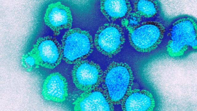 superflu_UK_header-642x361-1.jpg