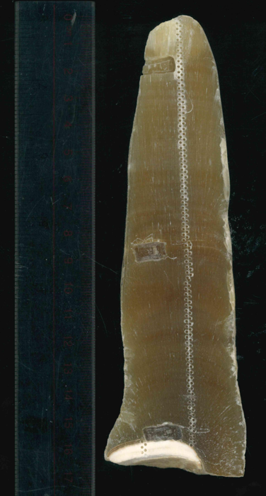 Stalagmite KR19-3 dalla Grotta di Hsarok