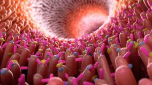 illustrazione 3d del intestino con microbi