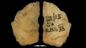 Le più antiche prove dirette di frecce avvelenate rivelate in reperti di 60.000 anni