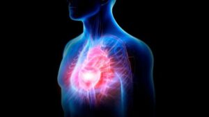 Illustrazione del torso maschile con contorni blu luminosi e cuore evidenziato in rosso