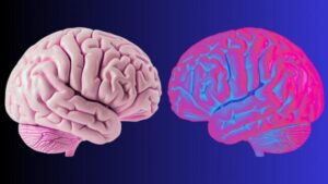 Gli scienziati identificano le onde cerebrali che definiscono i limiti del 'tu'