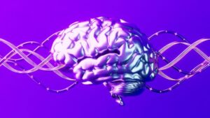 Un'immagine generata digitalmente di un cervello