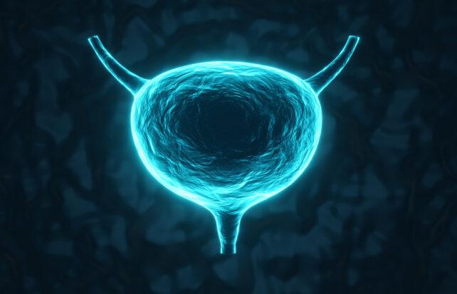 Illustrazione blu luminosa di una vescica su sfondo scuro
