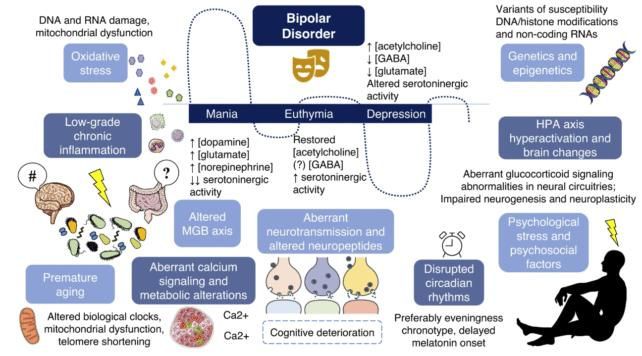 Fattori genetici, stili di vita e ambientali coinvolti nel disturbo bipolare.