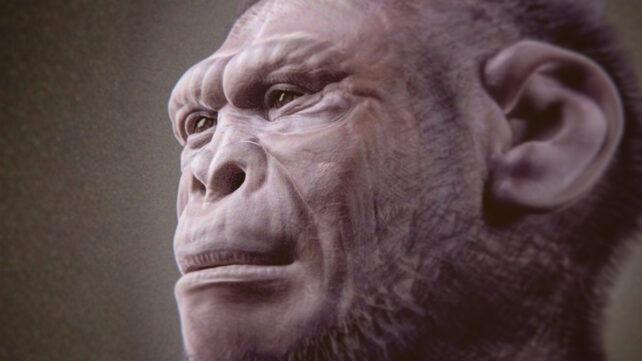 HomoHabilisCloseUpFaceReconstruction-642x361-1.jpg