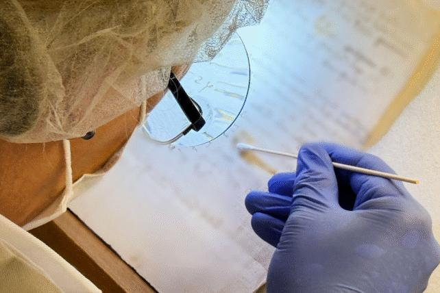 Estrazione del DNA di Da Vinci