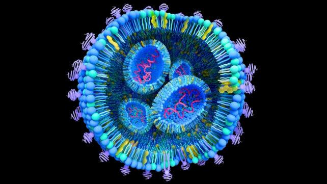 Illustrazione di una sfera blu e viola, che mostra strutture dettagliate all'interno