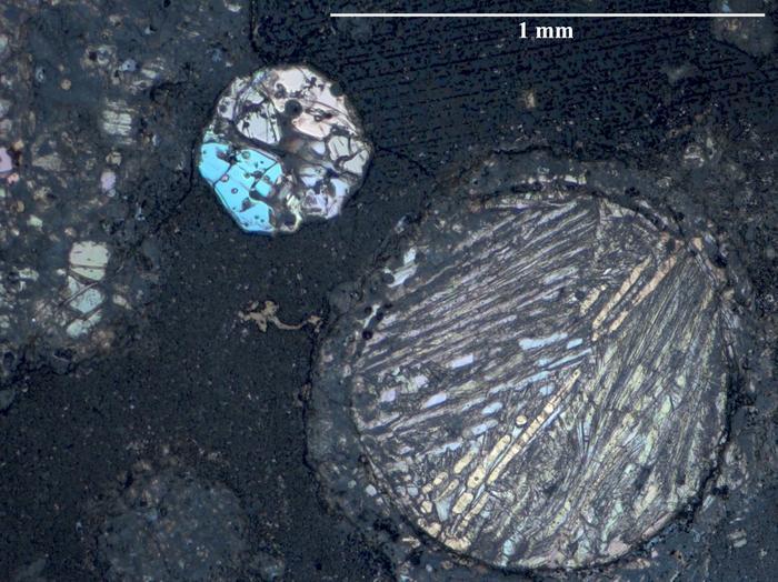 Immagine in luce riflessa di una sottile sezione di meteorite carbonaceo dalla collezione antartica della NASA. Credito: ICE-CSIC/J.M.Trigo-Rodríguez et al. (2025)