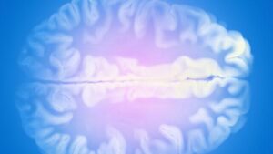 immagine del cervello su sfondo blu