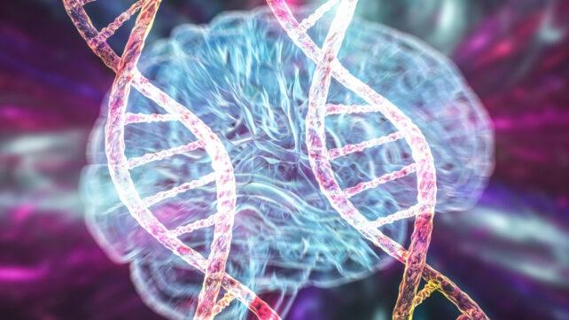 brain_junk_dna_header-642x361-1.jpg