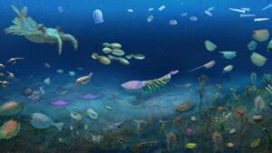 Un sito fossile straordinario rivela la vita che si riprende dopo un grande evento di estinzione