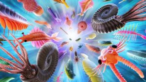 illustrazione dell'esplosione cambriana