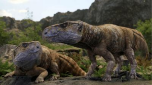 Le corna sono spesso considerate la caratteristica distintiva dei ceratopsiani, ma in questa ricostruzione la nuova specie confermata Ajkaceratops kozmai è riuscita a farne a meno.