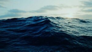 Onde Oscure Intense Possono Gettare l'Oceano nell'Ombra per Mesi, Scoprono gli Scienziati
