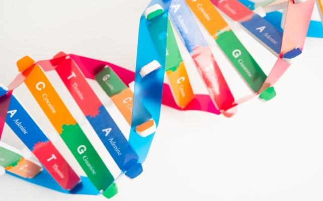 filamento di DNA