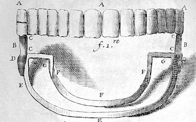 illustrazione dal libro di odontoiatria di Fauchard