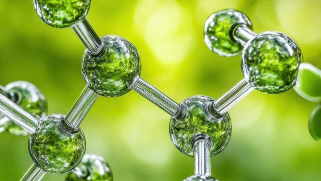 fungal-compound-cancer-642x361-1.jpg