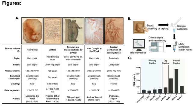 Confronto del DNA di Da Vinci