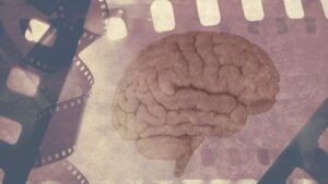 La perdita di memoria nell'Alzheimer collegata a problemi con la 'modalità di riproduzione' del cervello