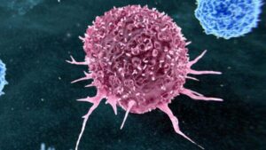 I tumori più prevenibili sono legati a solo due abitudini di vita