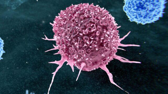 CancerCell-642x361-1.jpg