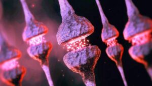 Un processo cerebrale nascosto può aiutare a spiegare perché il rischio di Alzheimer aumenta con l'età