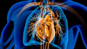La pillola di Semaglutide mostra benefici per il cuore in un gruppo chiave, secondo lo studio