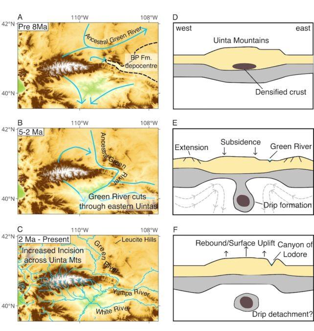 un diagramma che mostra la crosta densificata sotto le montagne Uinta, che cade nel mantello come una goccia mentre le montagne sopra si abbassano, e poi la goccia si stacca e le montagne rimbalzano.