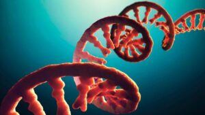 Un filamento di mRNA in arancione, su uno sfondo blu brillante ad alto contrasto