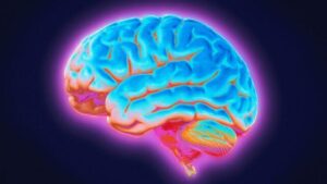 Il morbo di Parkinson potrebbe emergere da una rete cerebrale più profonda di quanto pensassimo