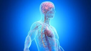 Uno ogni tre casi di demenza è collegato a malattie al di fuori del cervello