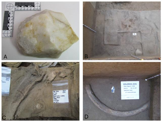 Gli strumenti in avorio di mammut dell'era glaciale offrono nuove indicazioni sulla popolazione delle Americhe