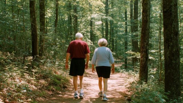 Due persone anziane che camminano lungo un sentiero in una foresta