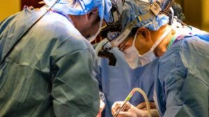 Primo piano di chirurghi che eseguono un'operazione non vista
