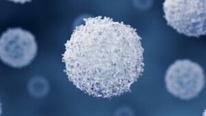 Cellule del sistema immunitario