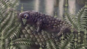 Nuovo fossile scoperto tra le prime creature terrestri a godere di un'insalata